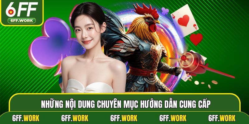 Những nội dung chuyên mục hướng dẫn cung cấp